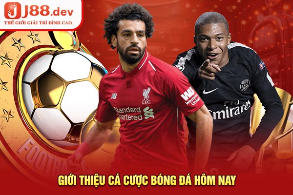 Giới thiệu cá cược bóng đá hôm nay