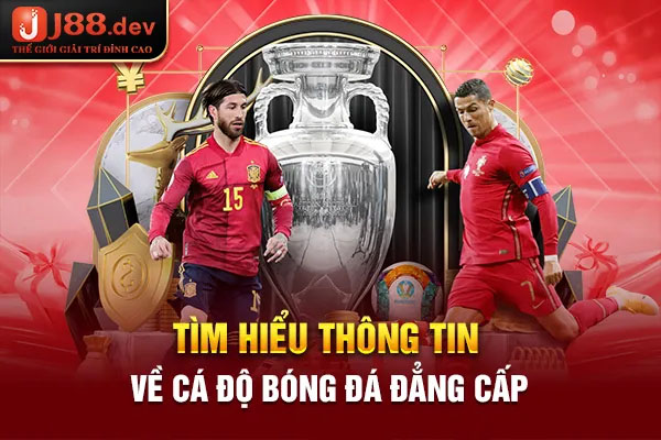 Tìm hiểu thông tin về cá độ bóng đá đẳng cấp Tìm hiểu thông tin về cá độ bóng đá đẳng cấp